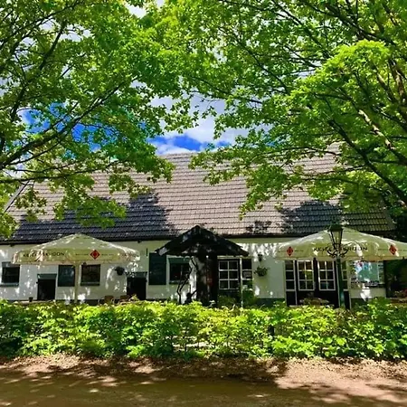 Modern In De Bossen De Veluwe