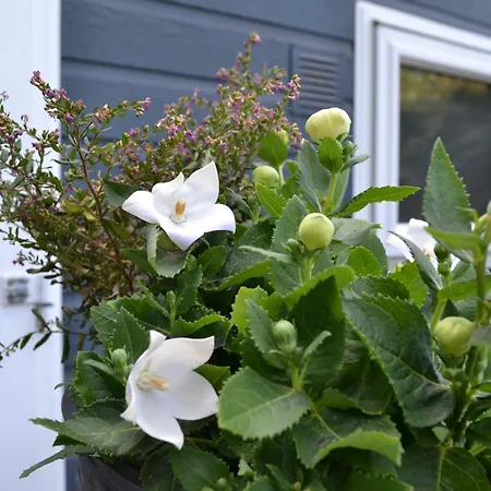 Modern In De Bossen De Veluwe Chalet