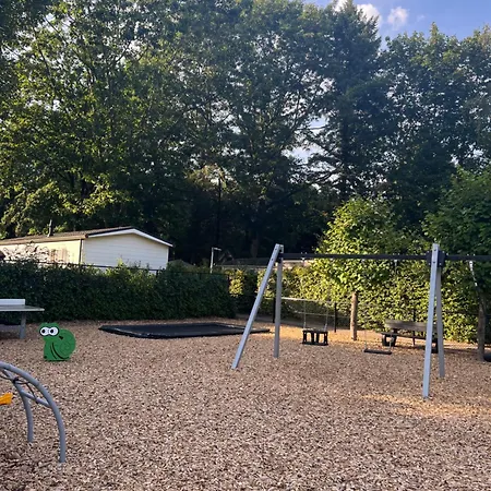 Chalet Modern In De Bossen De Veluwe