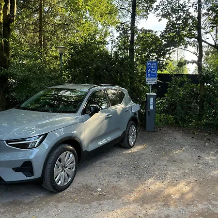 Chalet Modern In De Bossen De Veluwe *