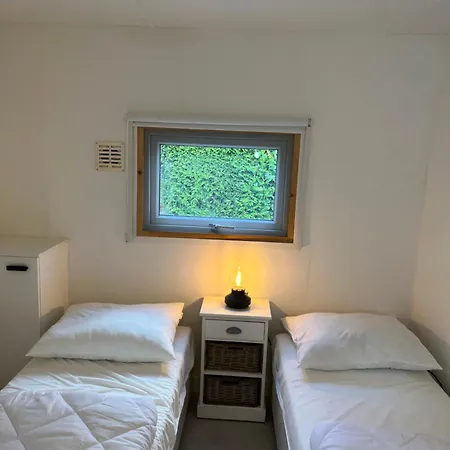 Chalet Modern In De Bossen De Veluwe *
