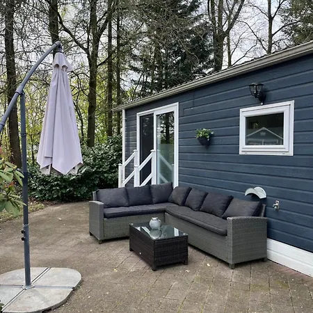 Modern In De Bossen De Veluwe Epe