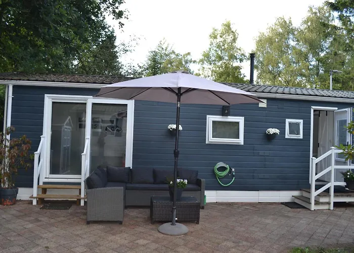 Modern In De Bossen De Veluwe Epe