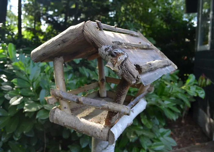 Modern In De Bossen De Veluwe Epe