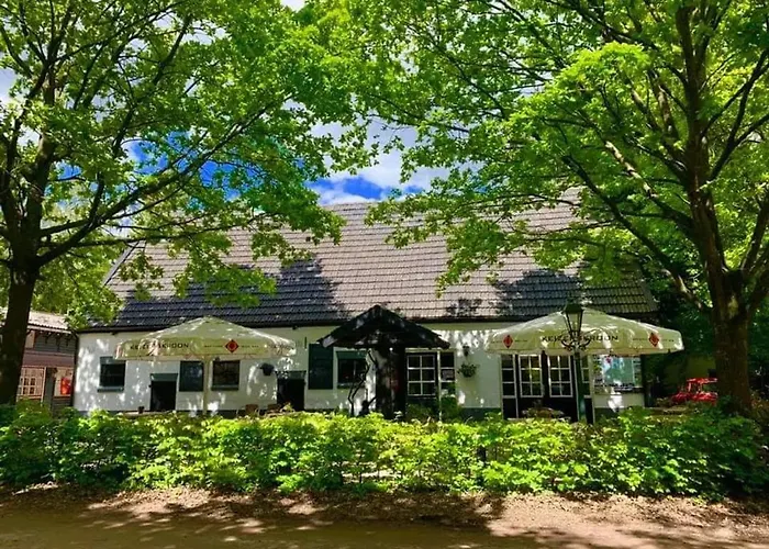 Modern In De Bossen De Veluwe