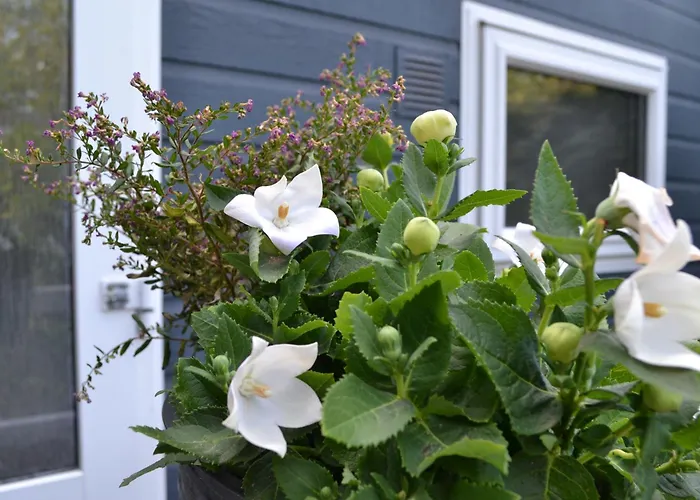 Modern In De Bossen De Veluwe Alpstuga
