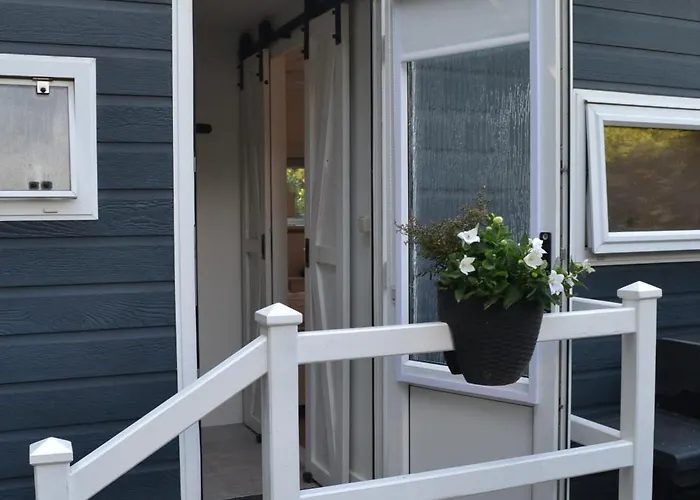 Modern In De Bossen De Veluwe