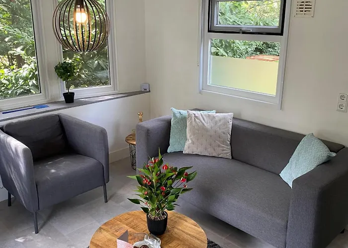 Modern In De Bossen De Veluwe Alpehytte Epe