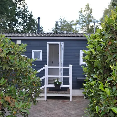 Modern In De Bossen De Veluwe