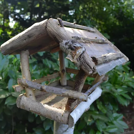 Modern In De Bossen De Veluwe Epe