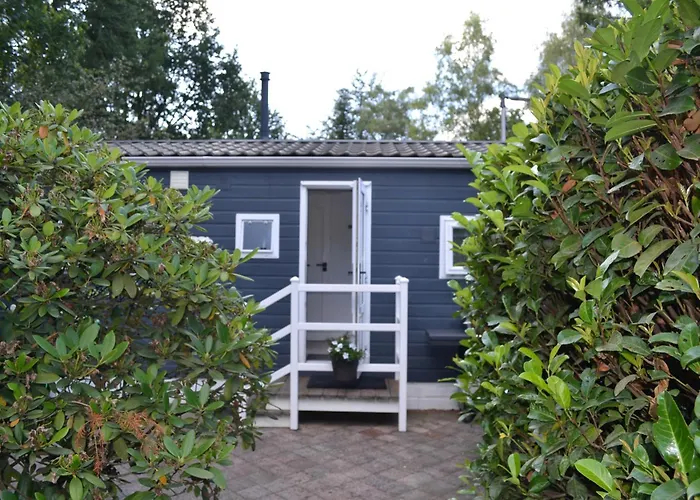 Modern In De Bossen De Veluwe