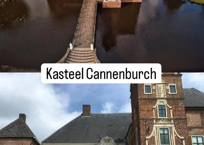 Modern In De Bossen De Veluwe *