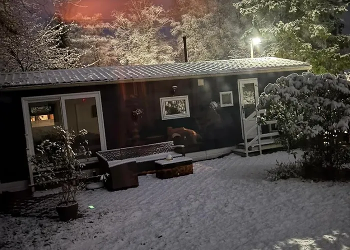 Modern In De Bossen De Veluwe *